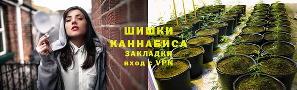 МДМА Заводоуковск